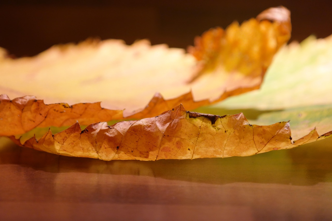 Guida: Come utilizzare NoSmoke per massimizzare i risultati nel percorso di disintossicazione